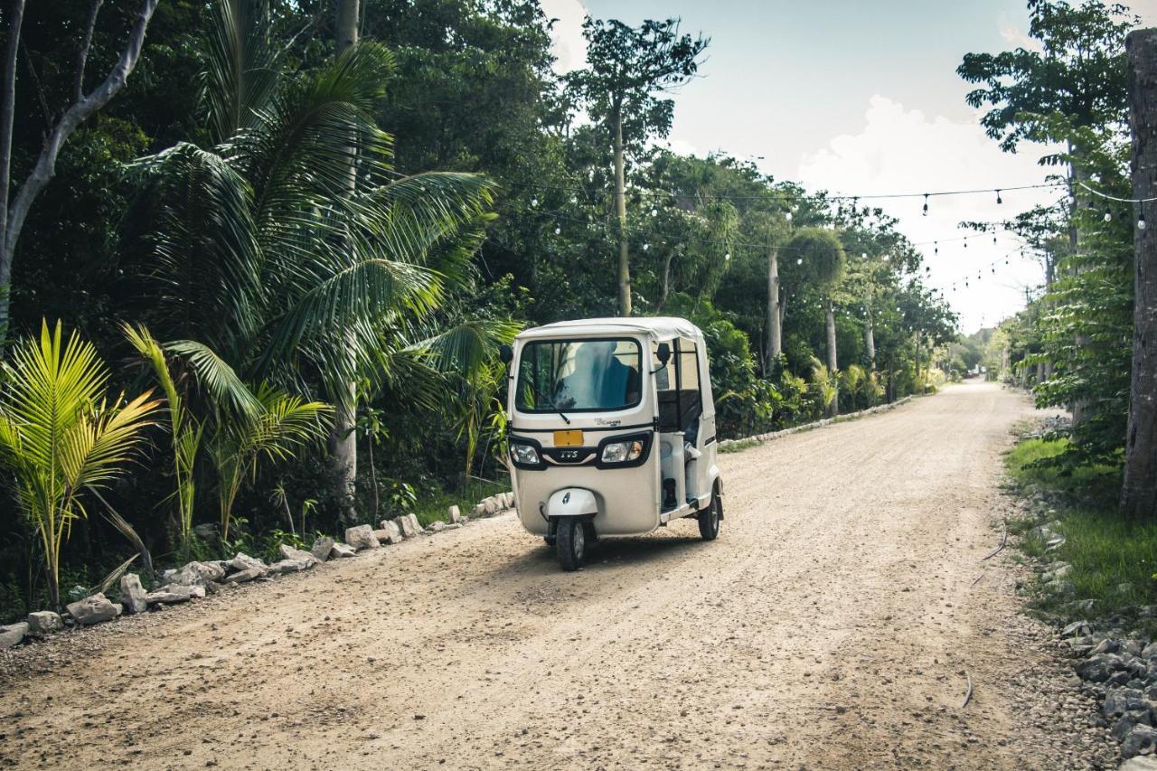 Roc Jungle Tulum Hotel Exterior photo